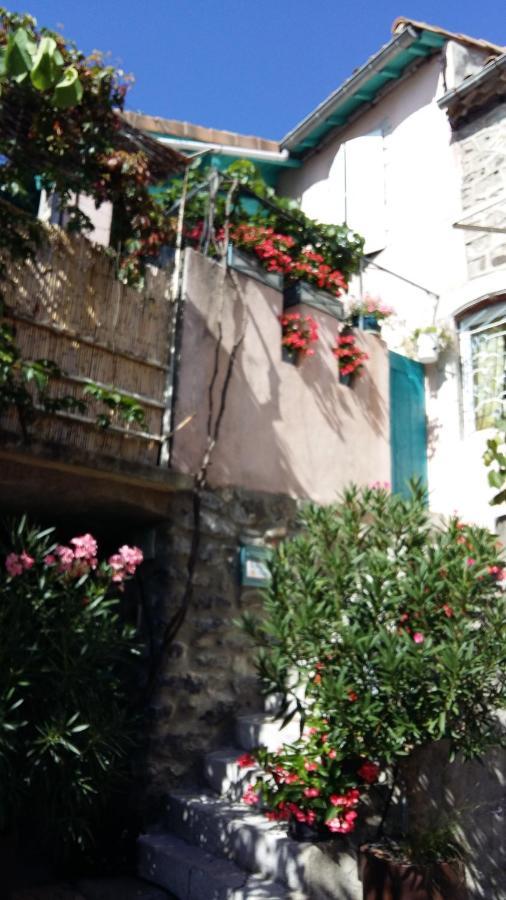 Les Hibiscus Bed & Breakfast Saint-Jean-le-Centenier Exterior photo
